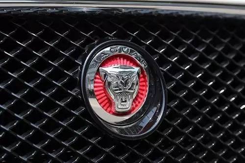 車標(biāo)上的動物都是啥來頭？看完又能出去裝X了