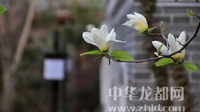 淮陽蓮舍，多了一份味道