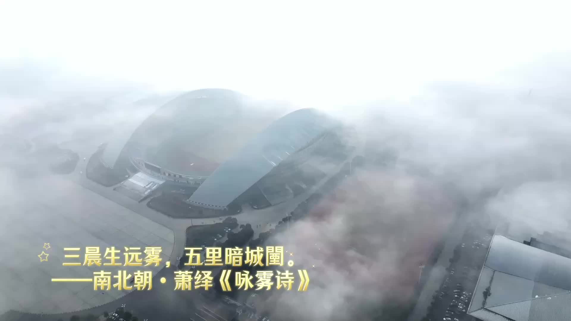 【人文周口】霧鎖港城 詩(shī)意周口